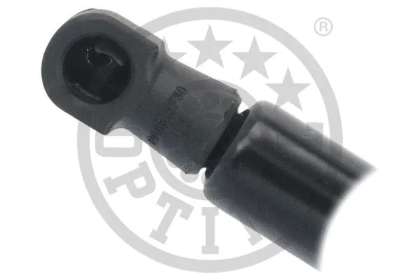 Gas Spring, boot/cargo area