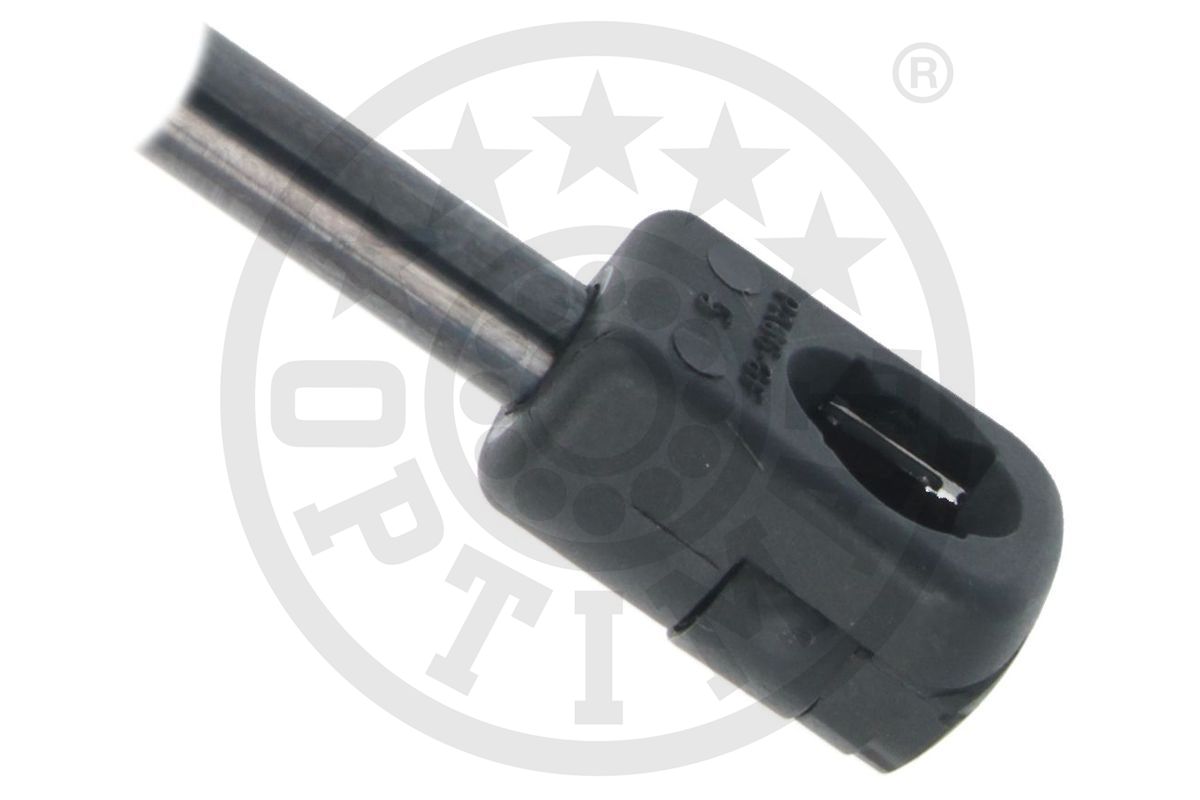 Gas Spring, boot/cargo area