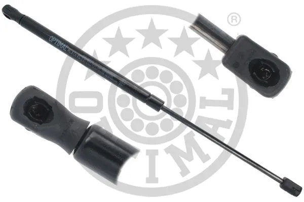 Gas Spring, boot/cargo area (AG-51845)