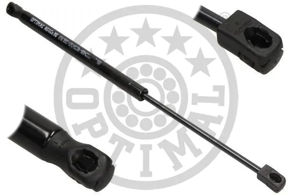 Gas Spring, boot/cargo area (AG-40916)
