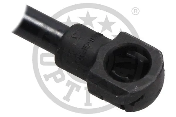 Gas Spring, boot/cargo area