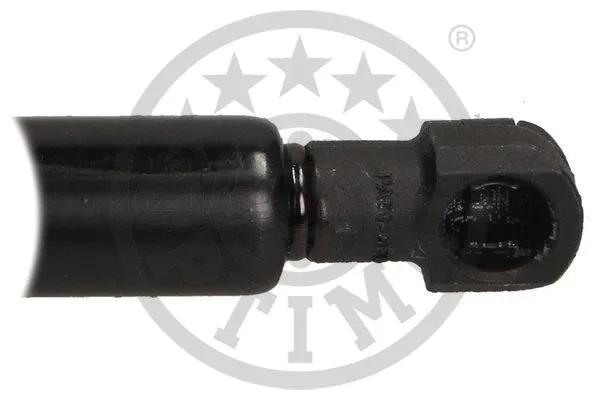 Gas Spring, boot/cargo area