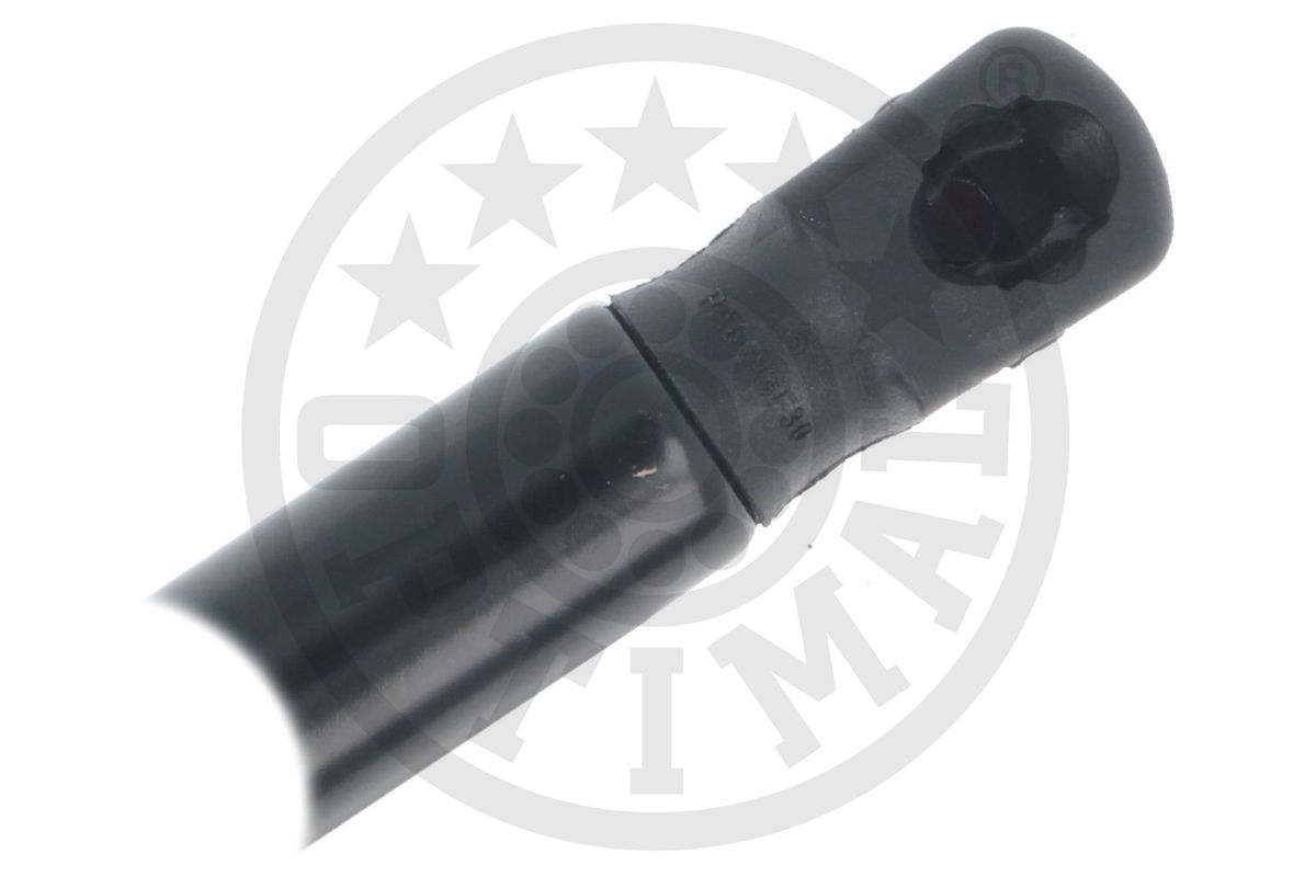 Gas Spring, boot/cargo area