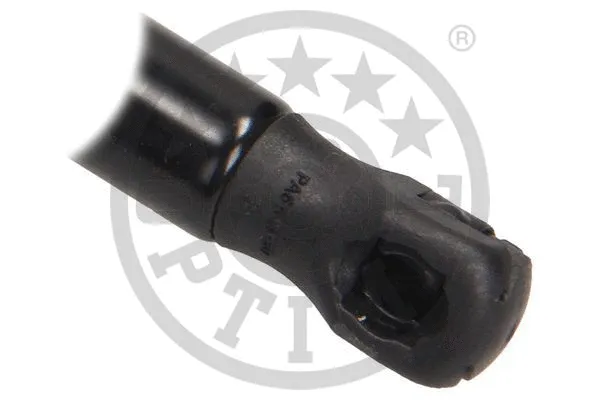 Gas Spring, boot/cargo area