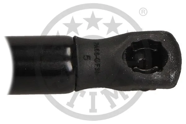 Gas Spring, boot/cargo area