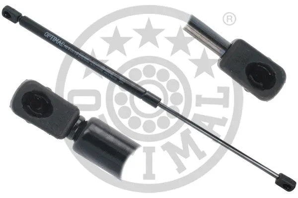 Gas Spring, boot/cargo area (AG-51870)