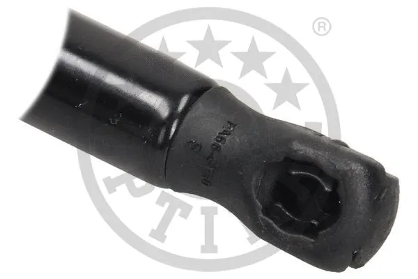 Gas Spring, boot/cargo area