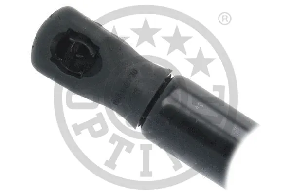Gas Spring, boot/cargo area