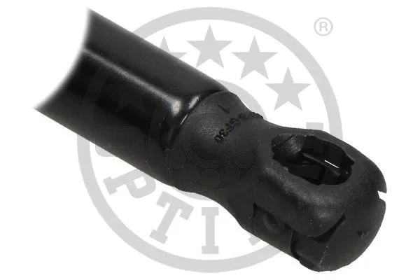 Gas Spring, boot/cargo area