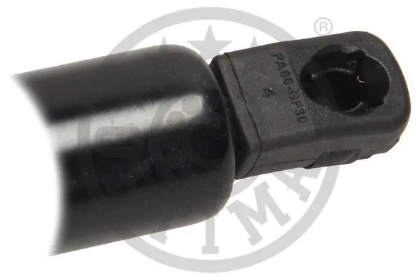 Gas Spring, boot/cargo area