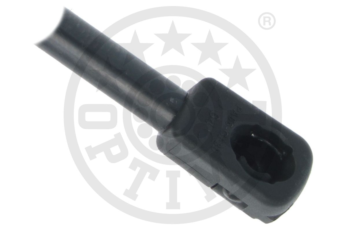 Gas Spring, boot/cargo area