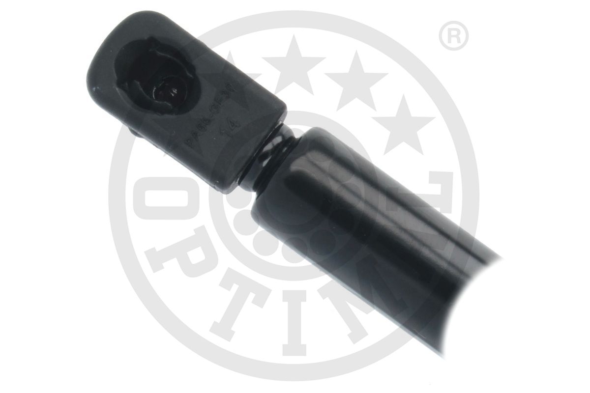 Gas Spring, boot/cargo area