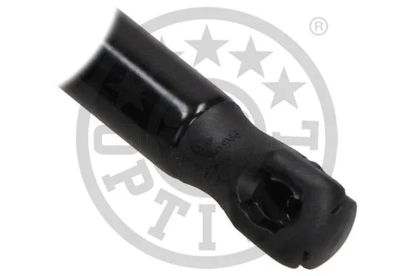 Gas Spring, boot/cargo area