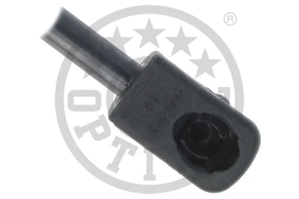 Gas Spring, boot/cargo area