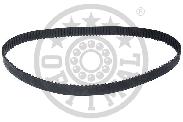 Timing Belt (R-1264)
