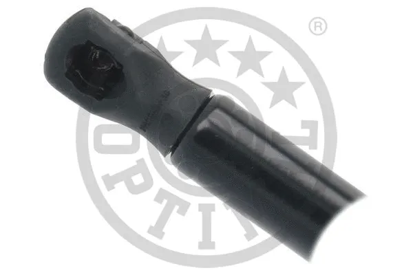 Gas Spring, boot/cargo area
