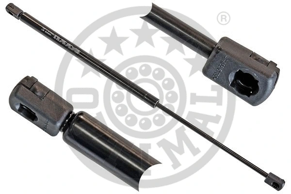 Gas Spring, boot/cargo area (AG-40079)