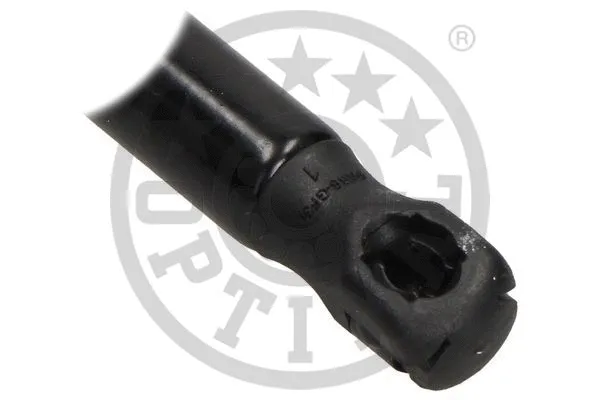 Gas Spring, boot/cargo area