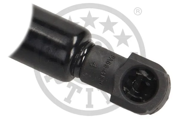 Gas Spring, boot/cargo area