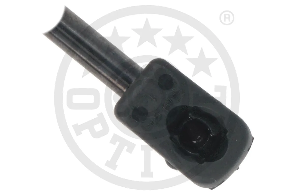 Gas Spring, boot/cargo area