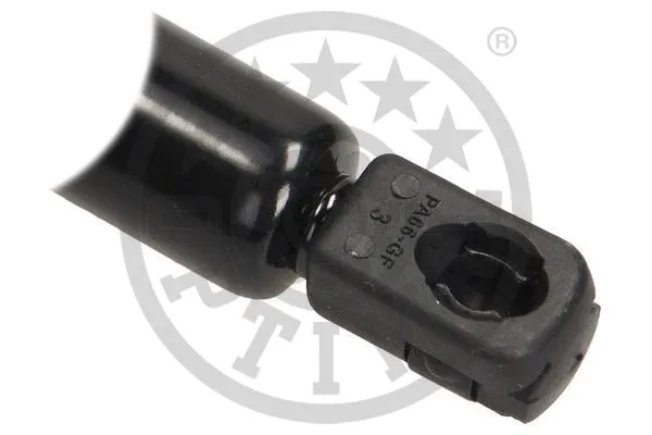 Gas Spring, boot/cargo area