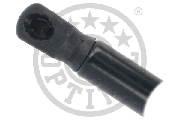 Gas Spring, boot/cargo area