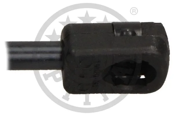 Gas Spring, boot/cargo area