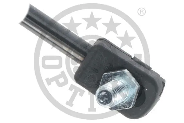 Gas Spring, boot/cargo area