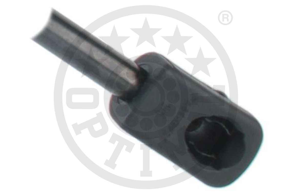 Gas Spring, boot/cargo area