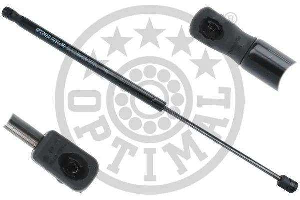 Gas Spring, boot/cargo area (AG-40843)