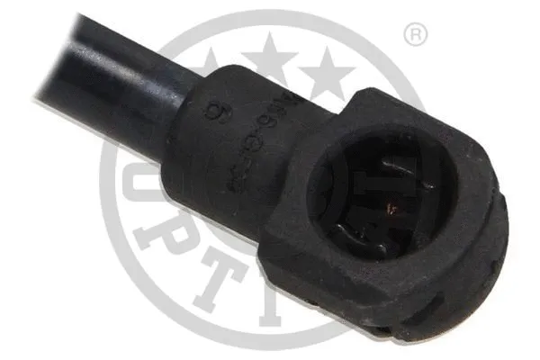 Gas Spring, boot/cargo area