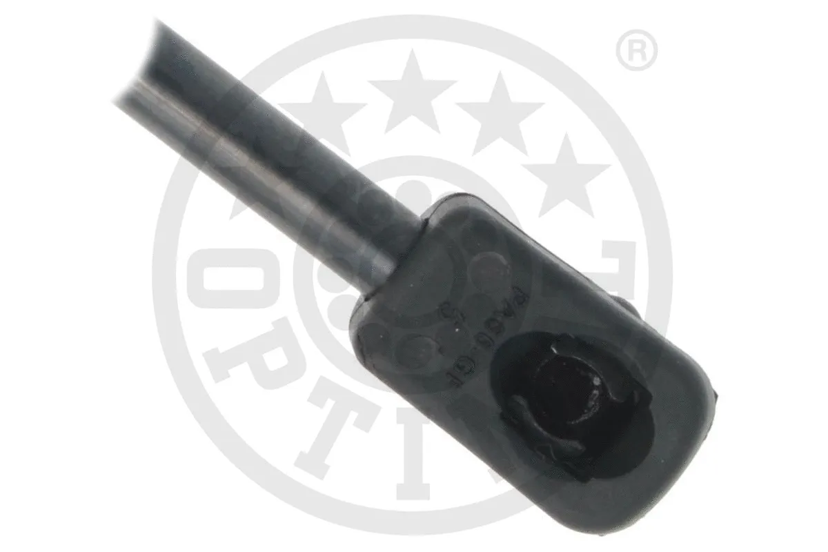 Gas Spring, bonnet
