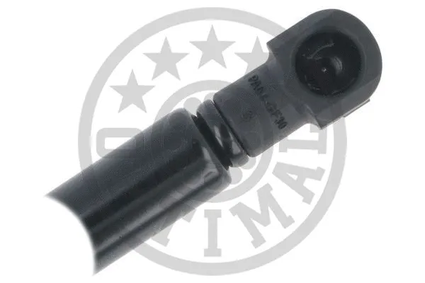 Gas Spring, boot/cargo area