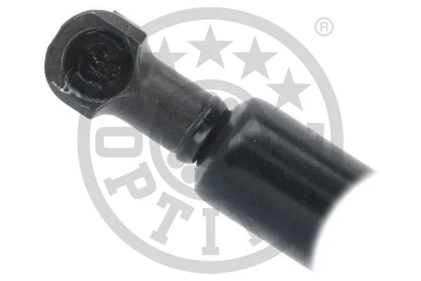 Gas Spring, boot/cargo area