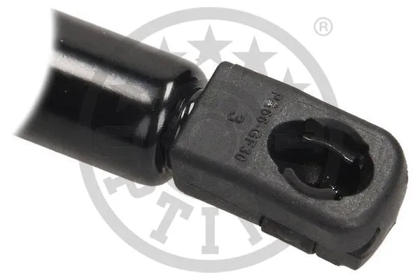 Gas Spring, boot/cargo area