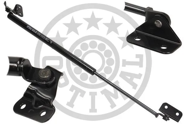 Gas Spring, boot/cargo area (AG-39069)