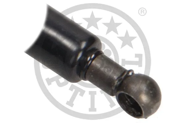 Gas Spring, boot/cargo area