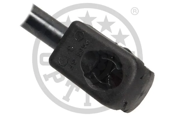 Gas Spring, rear window