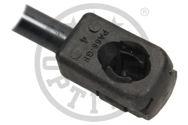 Gas Spring, boot/cargo area