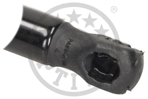 Gas Spring, bonnet