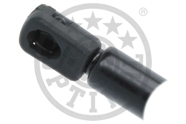 Gas Spring, boot/cargo area