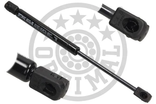 Gas Spring, boot/cargo area (AG-40113)