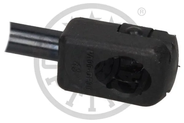 Gas Spring, bonnet