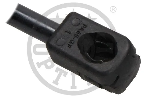 Gas Spring, boot/cargo area