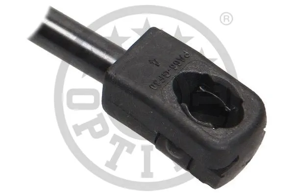 Gas Spring, bonnet