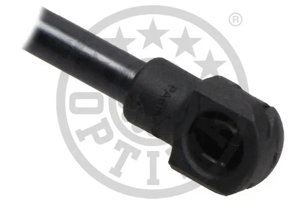 Gas Spring, boot/cargo area