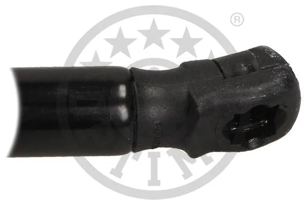 Gas Spring, boot/cargo area