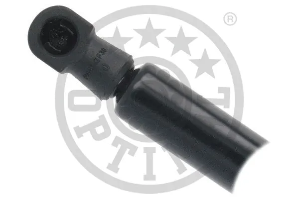 Gas Spring, boot/cargo area