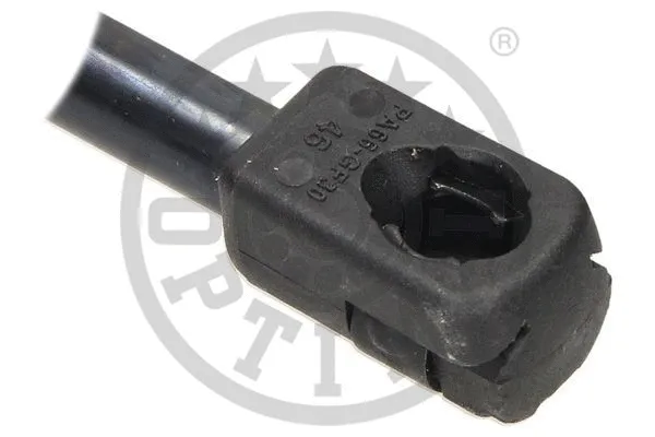 Gas Spring, boot/cargo area