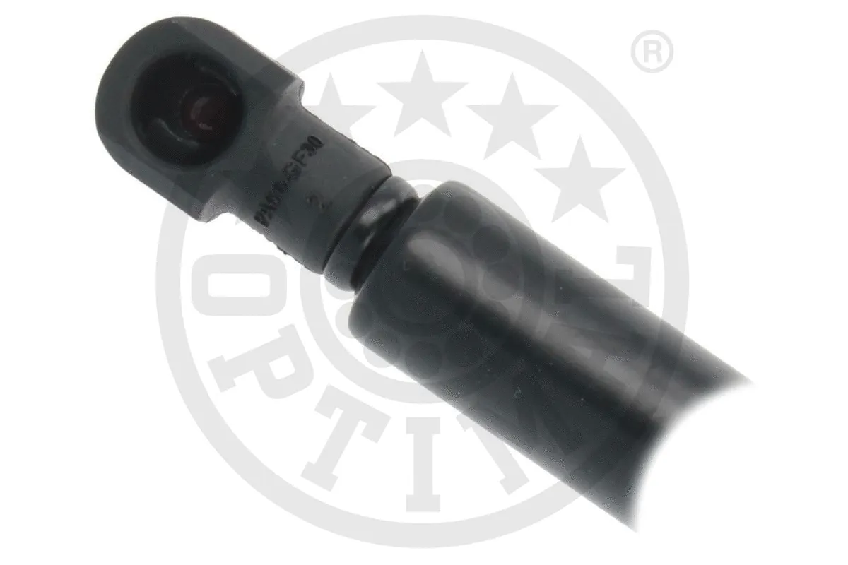 Gas Spring, boot/cargo area